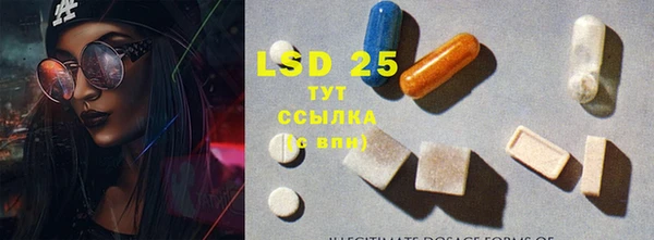 стафф Заволжск