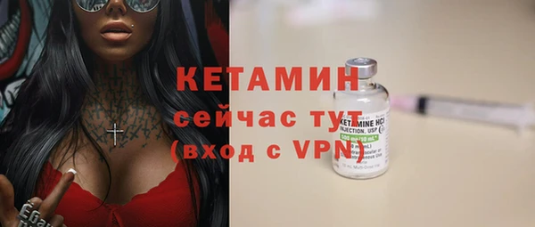 крисы Сосновый Бор