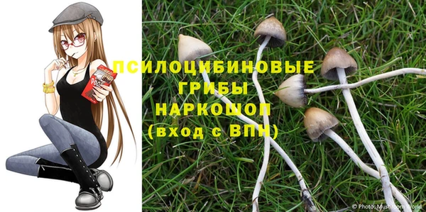 экстази Щёлкино