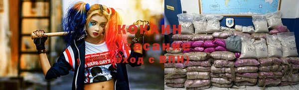 крисы Сосновый Бор