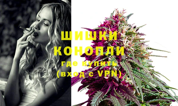 шишки Сосновоборск